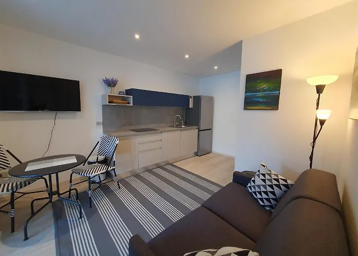 Luca A2 , In Front Of The * Novigrad Istria